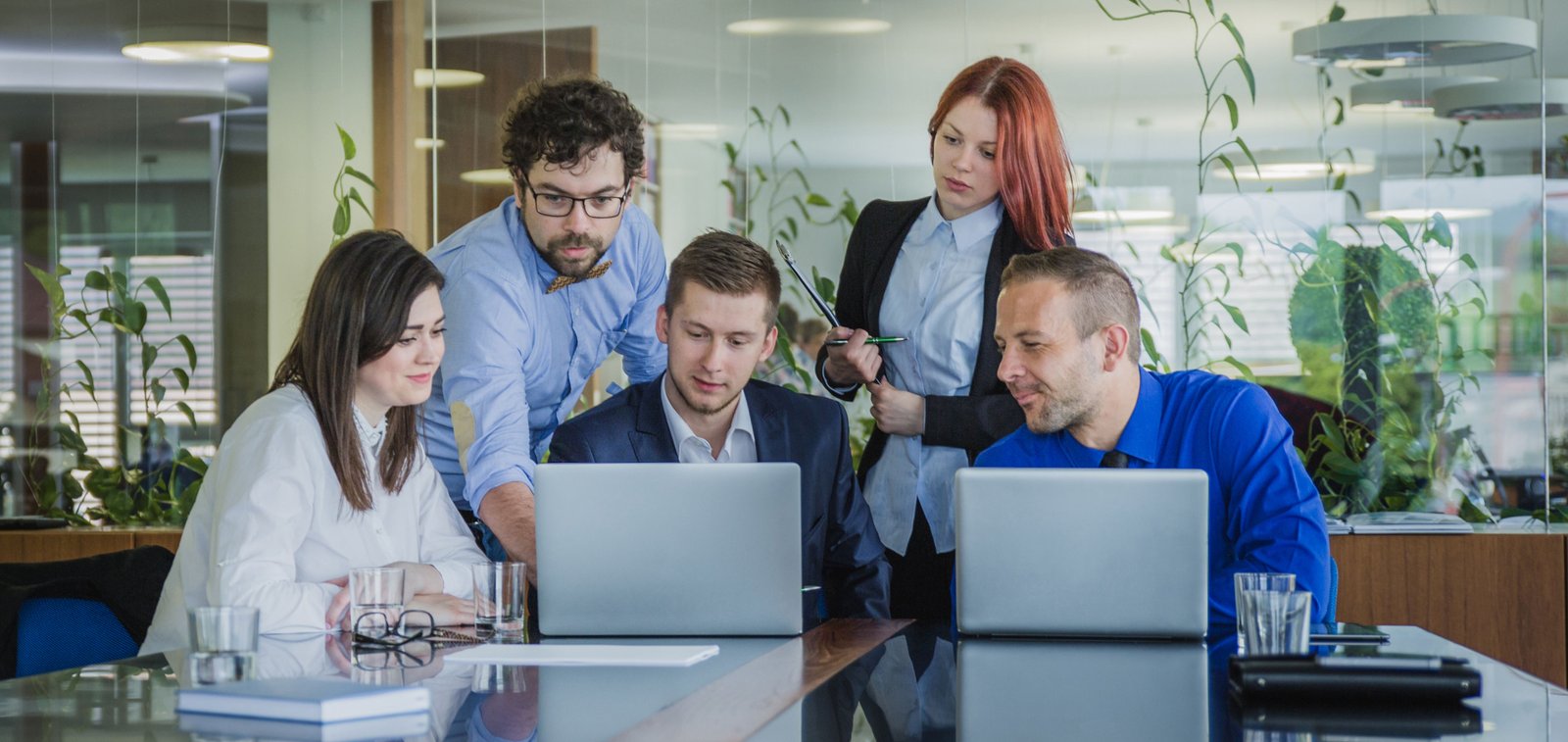 Wordpress Development Service in Palakkad -Next Level WordPress Development Service in Palakkad Team