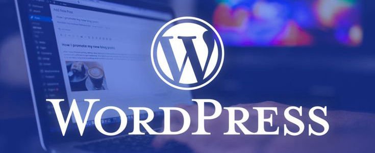 Wordpress Developer in Wayanad -Skilled WordPress Developer in Wayanad for Business Success